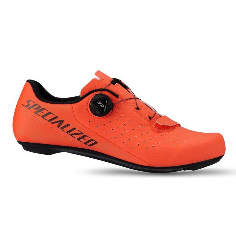 11-1-Screenshot-of-TORCH-1.