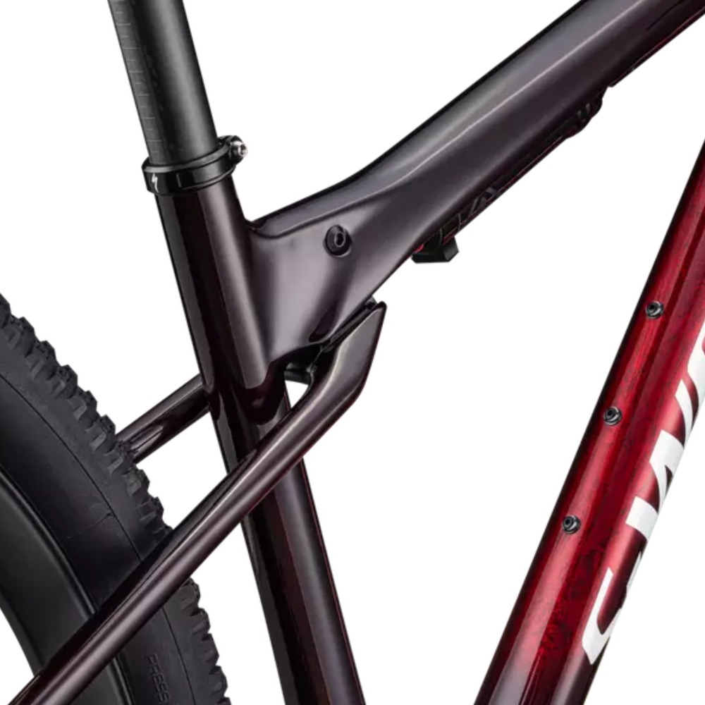S-Works-Epic-World-Cup-8
