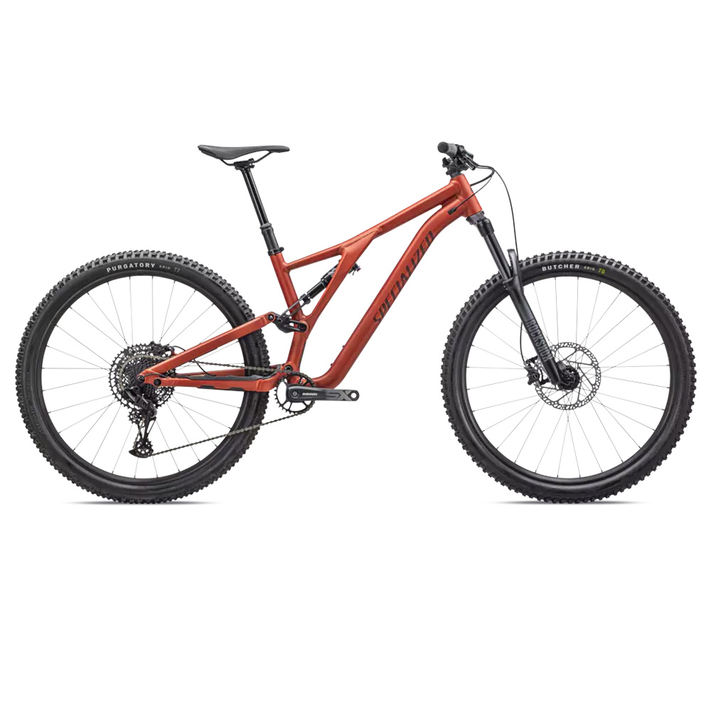 Stumpjumper-Alloy-1