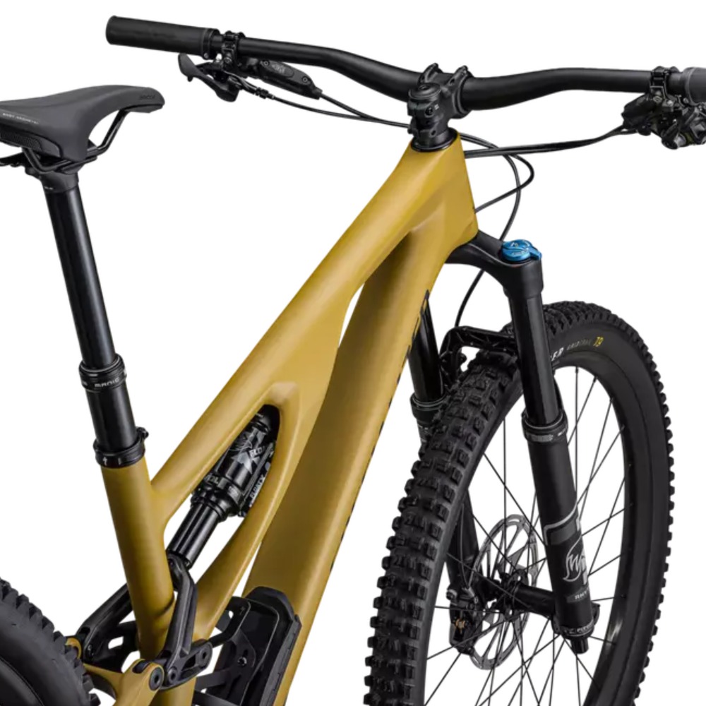 Stumpjumper-EVO-Comp-5