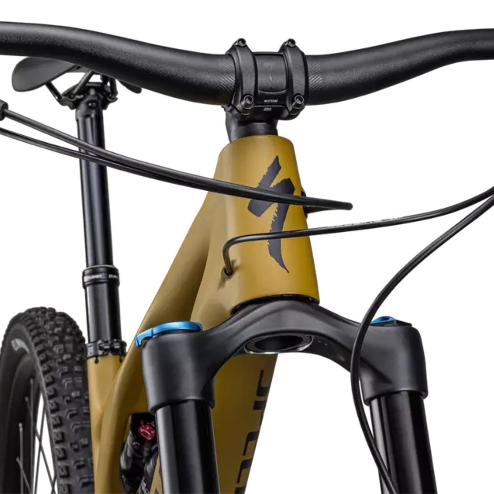 Stumpjumper-EVO-Comp-6