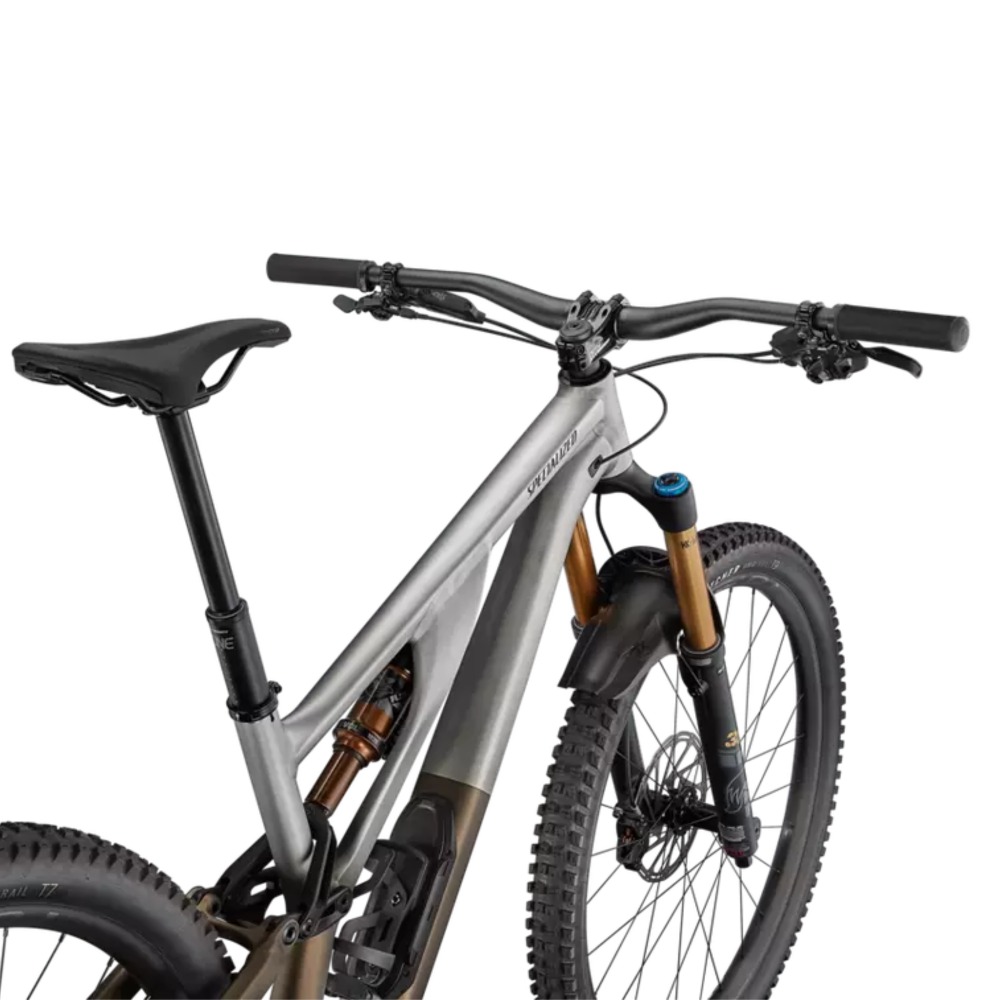 Stumpjumper-EVO-Elite-4