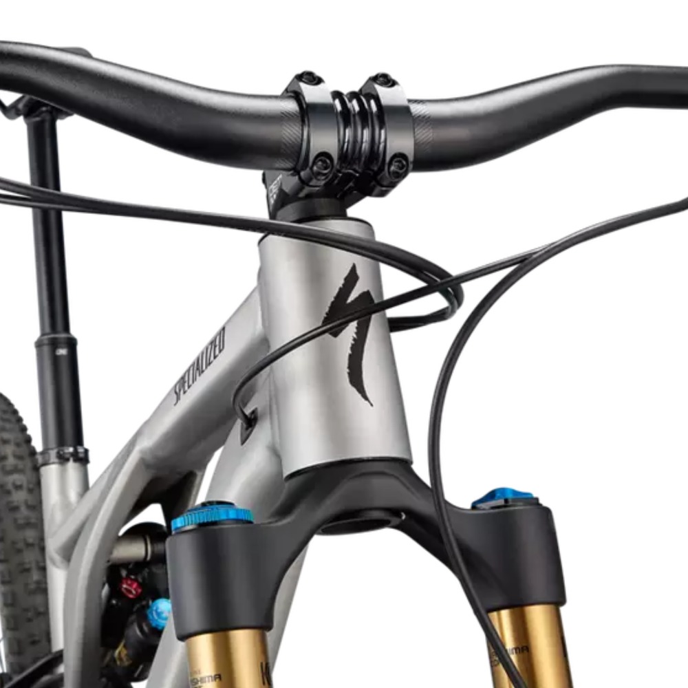 Stumpjumper-EVO-Elite-5