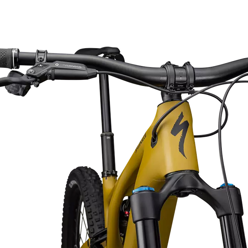 levo_expert_t_type_23_4