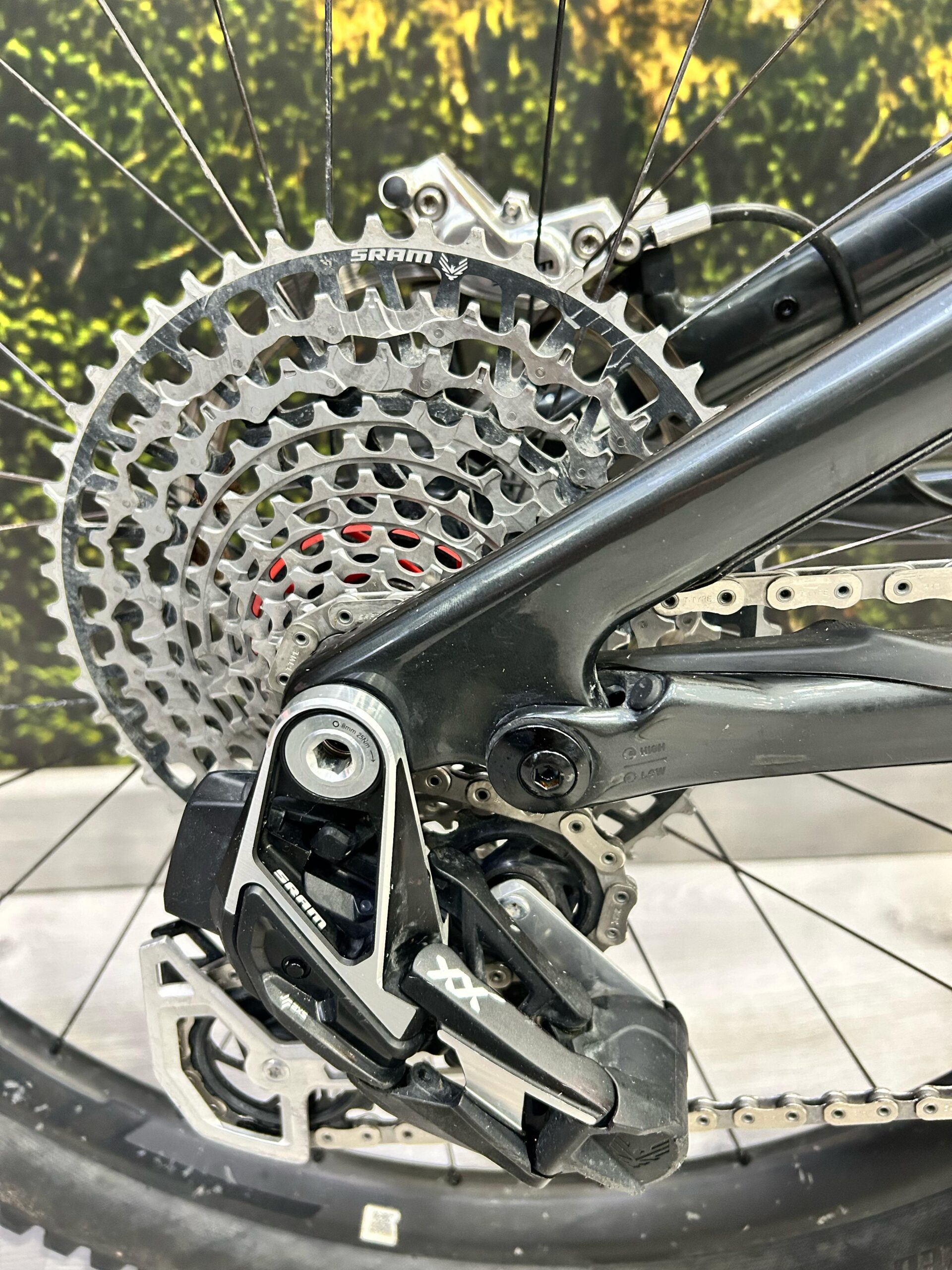 WhatsApp Image 2025-04-11 at 11.55.42 (2)