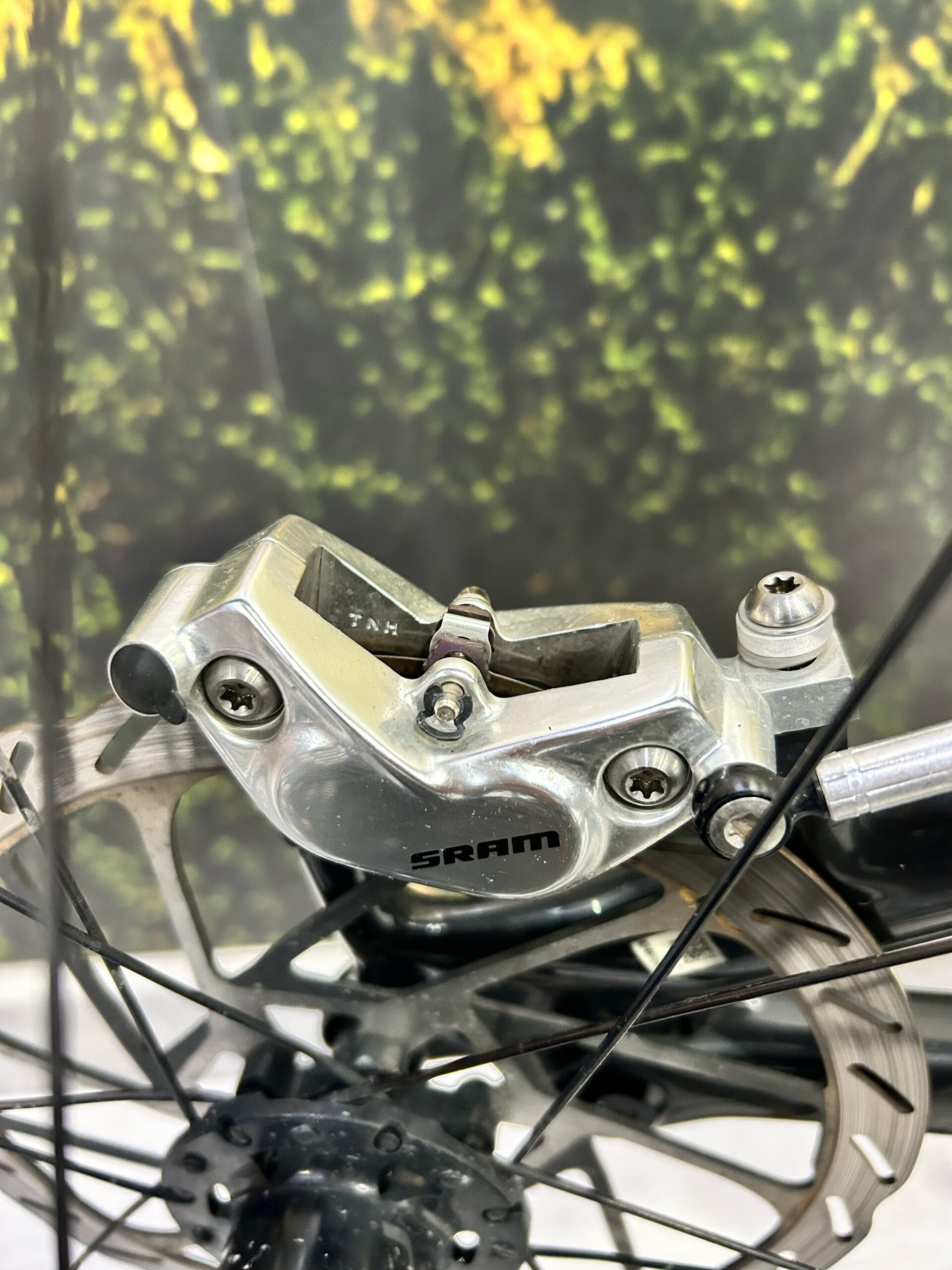 WhatsApp Image 2025-04-11 at 11.55.43