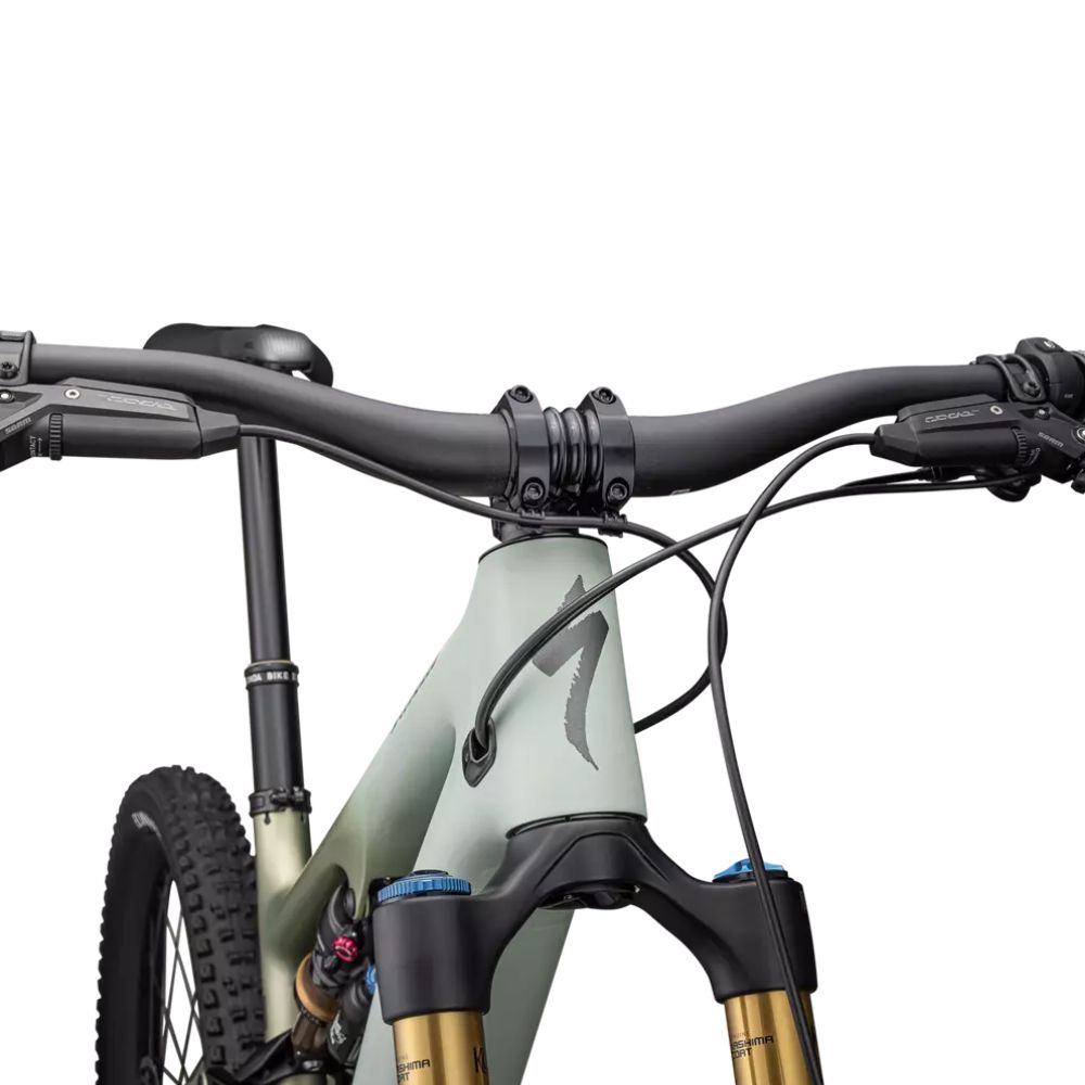 Turbo Levo SL Pro Carbon 2024_5