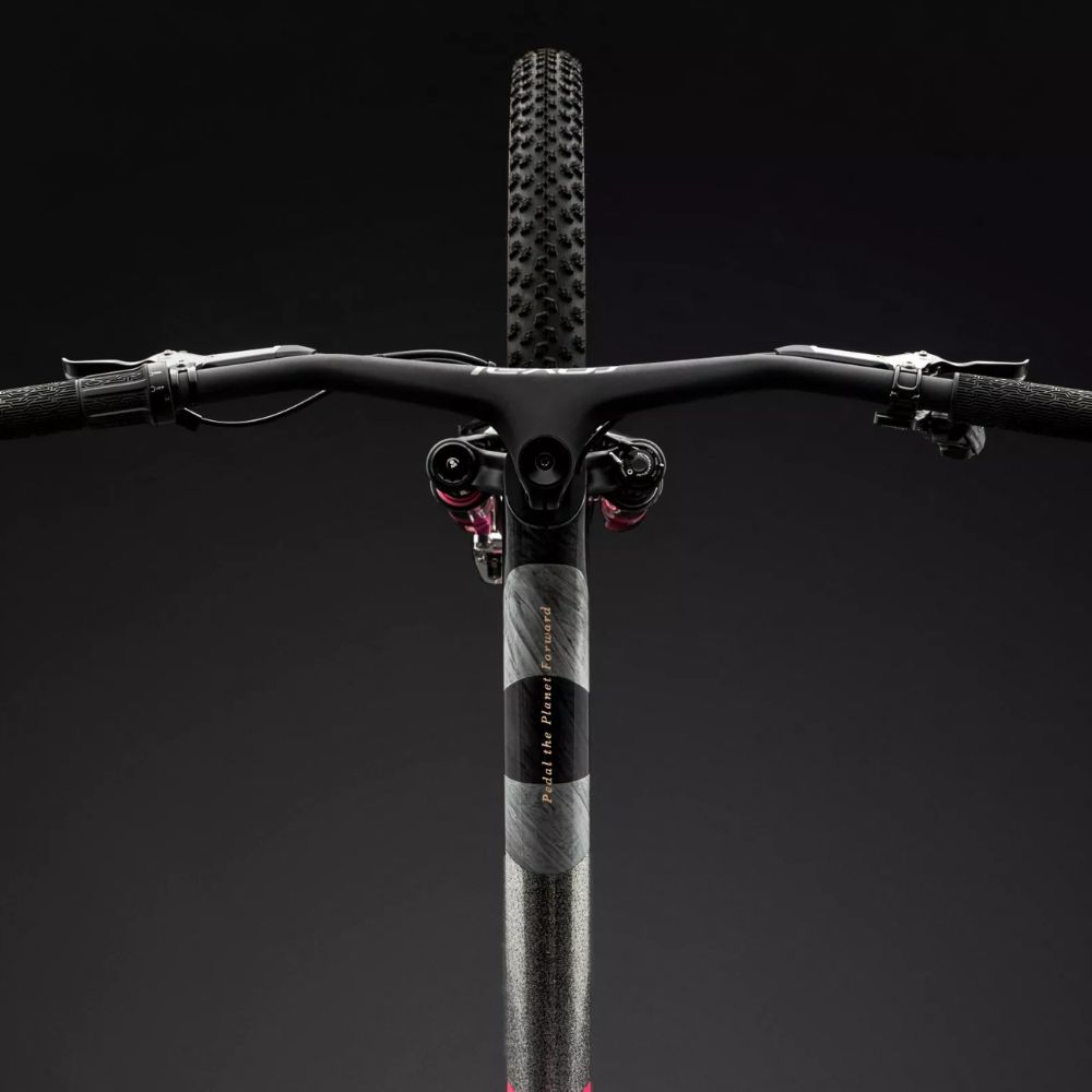 S-Works Epic World Cup LTD 50 11