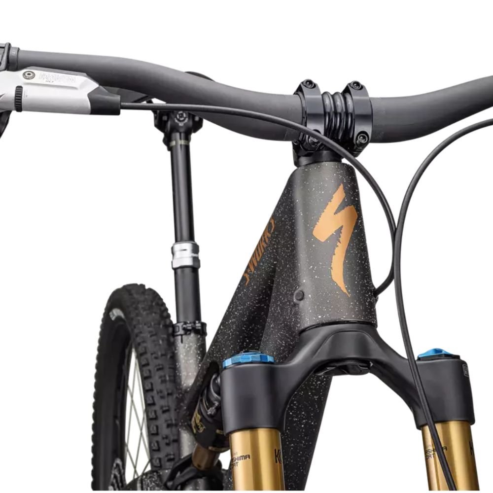 S-Works Stumpjumper 15 2025 5