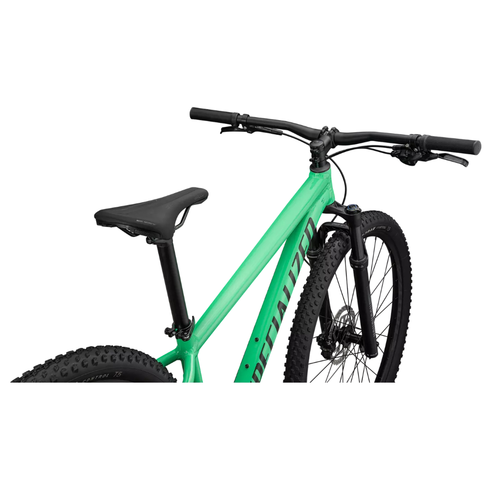 Sin título - 2024-11-26T125401.581