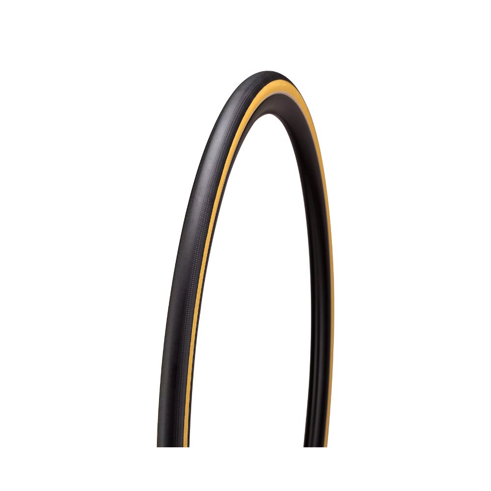 Diseño sin título - 2025-12-16T125756.887