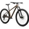 91827-63_ROCKHOPPER-SPORT-KH-BNTGLDMET-STLNMET-M---29_FDSQ
