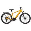 bici (17)