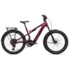 bici (6)