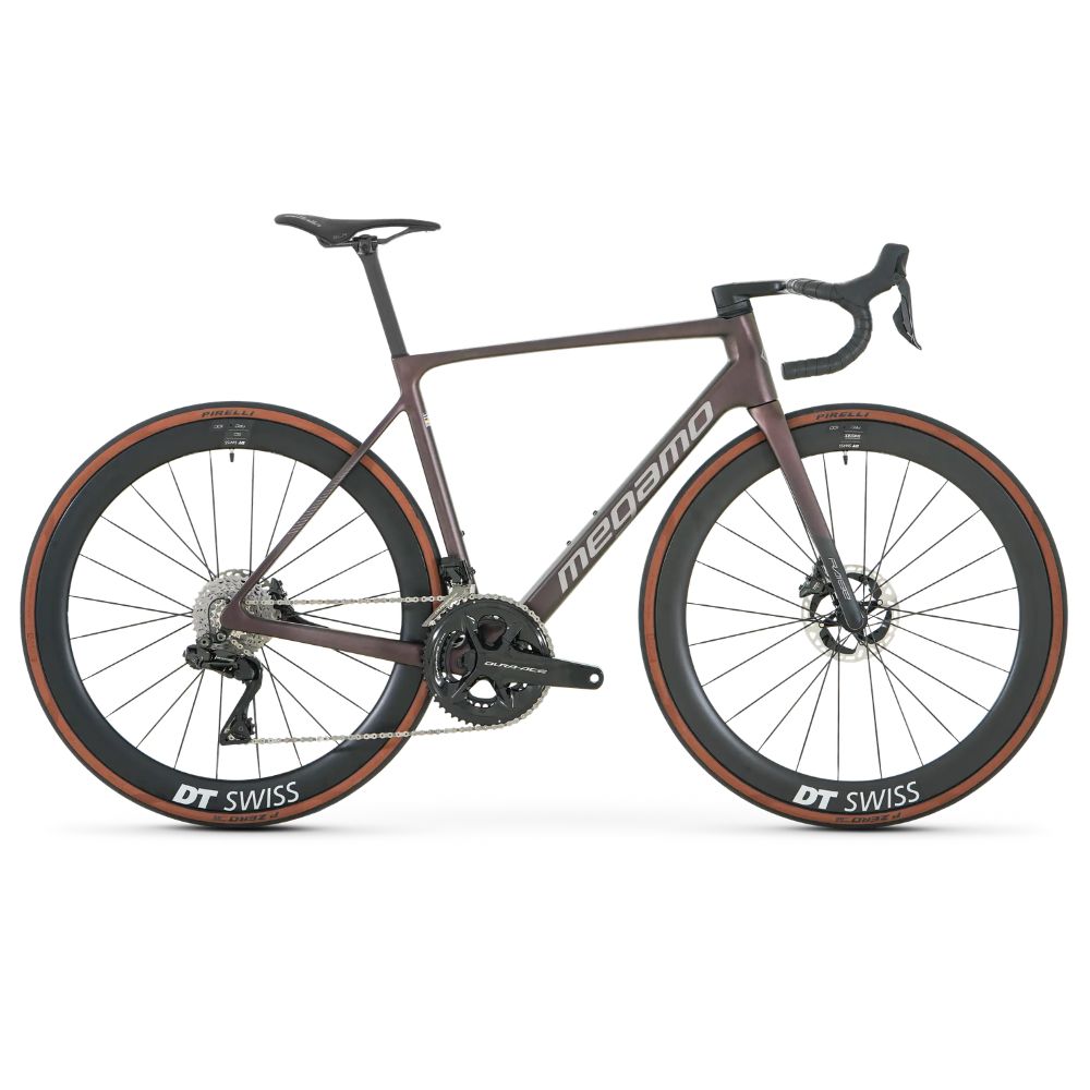 raise 01 slr 2026