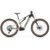 Megamo Flame CRB 05 2026 sage